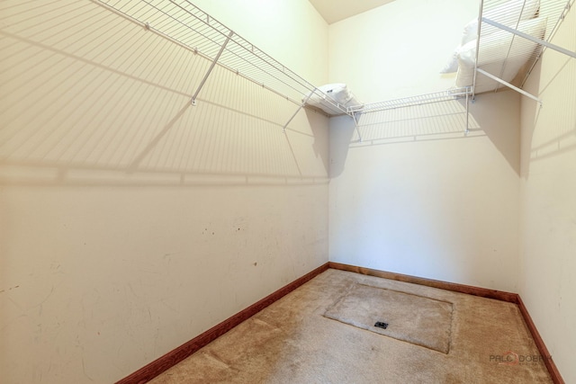 3206 Turnberry Dr, Mchenry, IL 60050 - walk in closet featuring carpet floors
