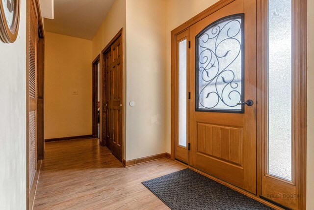 3206 Turnberry Dr, Mchenry, IL 60050 - foyer with light wood-type flooring, baseboards, and healthy amount of natural light