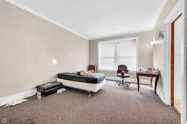 1347 E Hyde Park Blvd, Chicago, IL 60615 - carpeted bedroom featuring ornamental molding, radiator, and baseboards