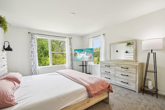 29W690 Cambridge Ct, Warrenville, IL 60555 - bedroom featuring light colored carpet and baseboards