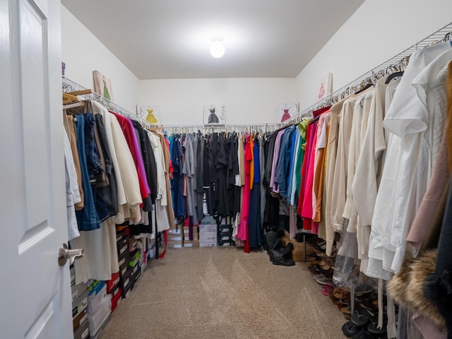3740 Ryder Ct, Naperville, IL 60564 - spacious closet featuring carpet flooring