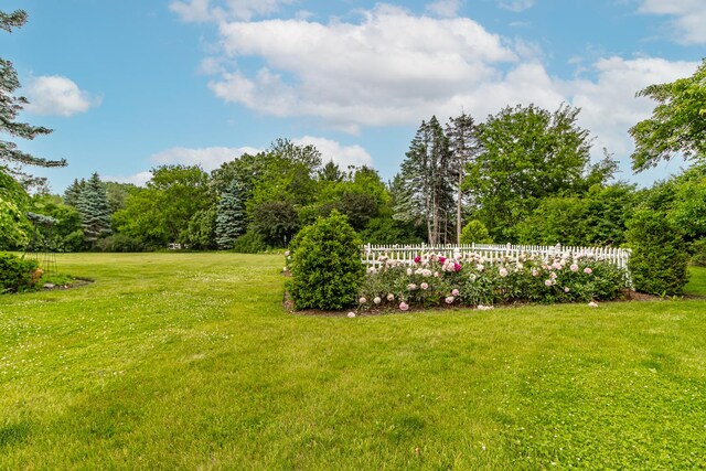 36955 N Fox Hill Dr, Wadsworth, IL 60083 - view of yard