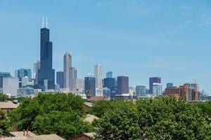 1033 W 14th Pl Unit 337, Chicago, IL 60608 - skyline view