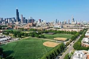 1033 W 14th Pl Unit 337, Chicago, IL 60608 - surrounding community with a view of skyline