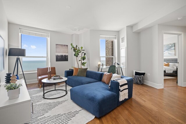850 N Lake Shore Dr Unit 604, Chicago, IL 60611 - photo 4