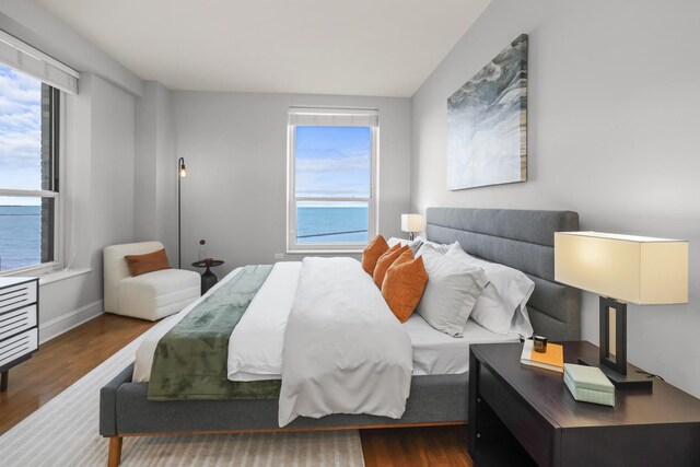 850 N Lake Shore Dr Unit 604, Chicago, IL 60611 - photo 5