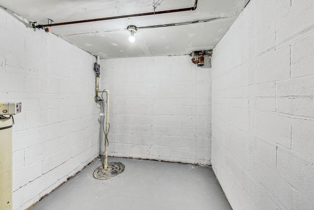 141 W 13th St, Chicago Heights, IL 60411 - unfinished below grade area featuring concrete block wall