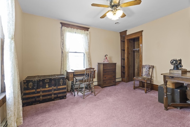 303 Esson Farm Rd, Grant Park, IL 60940 - photo 43