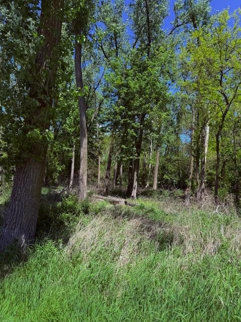 LOTS4 Greening Rd, Mchenry, IL 60050