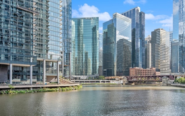 333 N Canal St Unit 2804, Chicago, IL 60606 - skyline view featuring a notable bridge and a large body of water