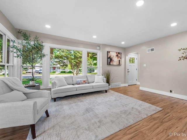 490 S Mchenry Ave, Crystal Lake, IL 60014 - living room with arched walkways, recessed lighting, baseboards, and wood finished floors