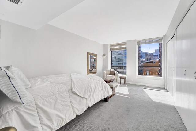 260 E Chestnut St Unit 2304, Chicago, IL 60611 - photo 9