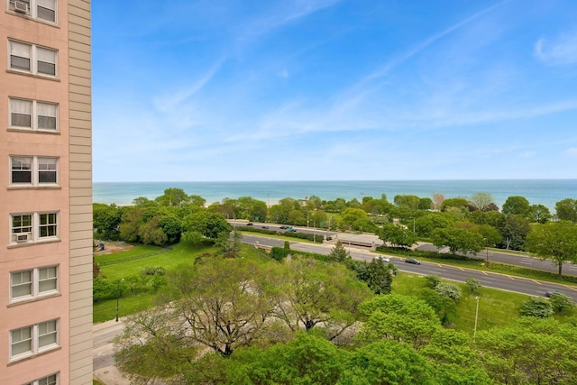 5555 N Sheridan Rd Unit 901A, Chicago, IL 60640 - water view