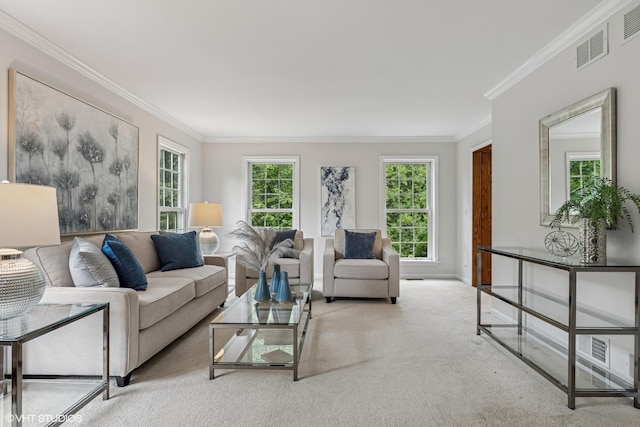 21712 N Old Farm Rd, Deer Park, IL 60010 - carpeted living room featuring ornamental molding and plenty of natural light
