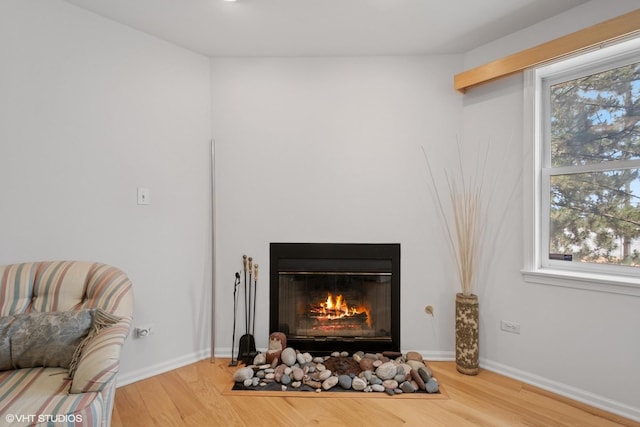 4747 Howard St Unit 205, Skokie, IL 60076 - detailed view of a fireplace with flush hearth and wood finished floors