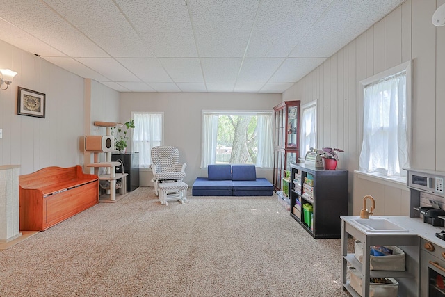 6124 Chase Ave, Downers Grove, IL 60516 - recreation room featuring carpet floors and wooden walls