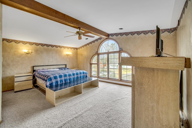 24644 S Mulberry Ln, Crete, IL 60417 - carpeted bedroom with ceiling fan