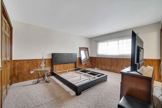24644 S Mulberry Ln, Crete, IL 60417 - bedroom with a wainscoted wall, wooden walls, and carpet