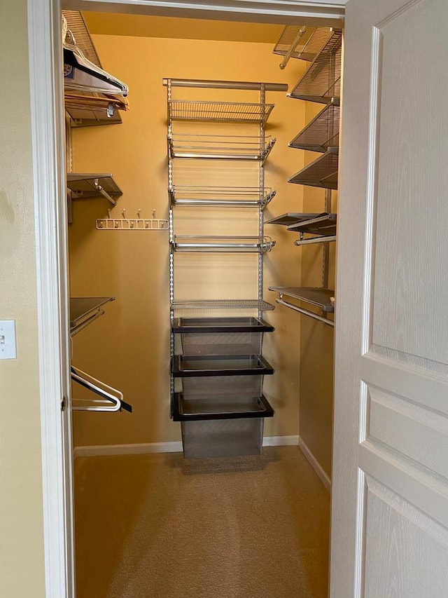 3148 Ollerton Ave Unit 3148, Aurora, IL 60502 - walk in closet with carpet