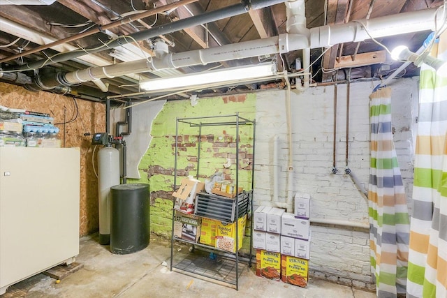 138 N Elm St, Paxton, IL 60957 - unfinished below grade area with a water softener system