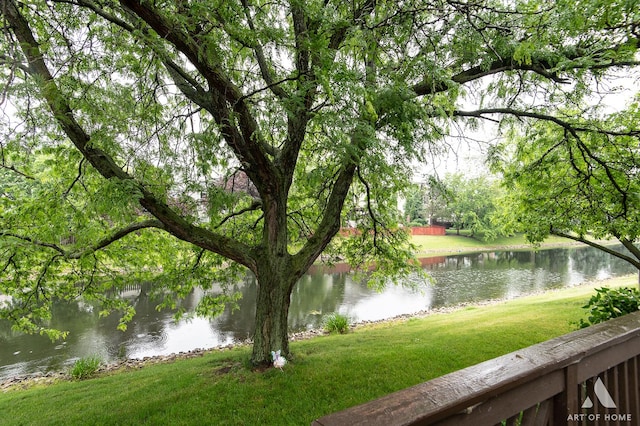 1710 Chestnut Hill Rd, Plainfield, IL 60586 - water view