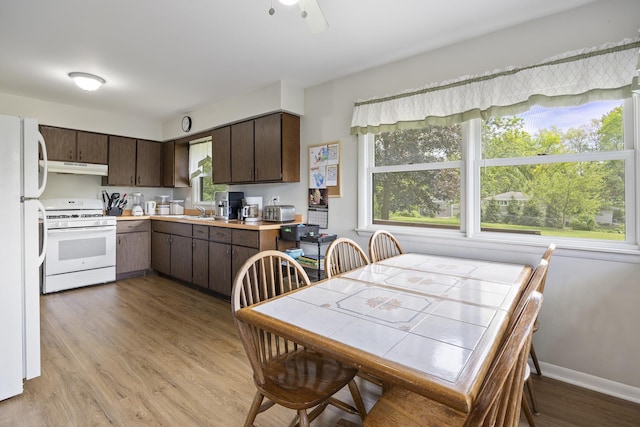 26W331 Geneva Rd, Wheaton, IL 60187 - kitchen featuring white appliances, under cabinet range hood, dark brown cabinets, a sink, and light wood finished floors