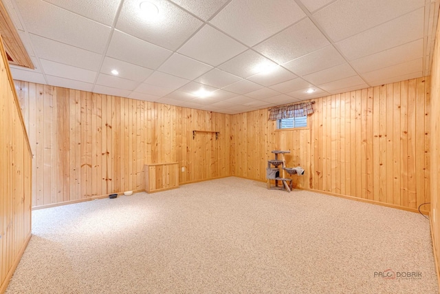 325 Pearl St, Cary, IL 60013 - basement with carpet floors, wooden walls, and a paneled ceiling