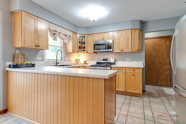 325 Pearl St, Cary, IL 60013 - kitchen featuring stainless steel appliances, a sink, a peninsula, and light countertops