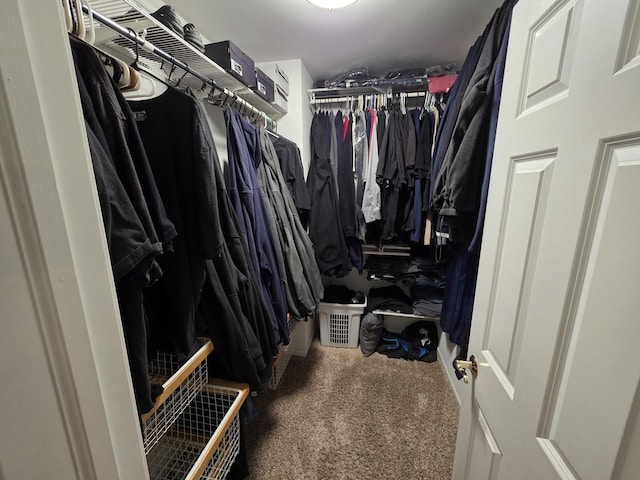 3331 Banford Cir, Lake In The Hills, IL 60156 - spacious closet with carpet flooring