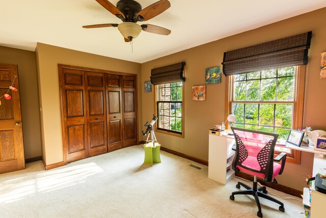 4895 Westhaven Ct, Hoffman Estates, IL 60010 - photo 16