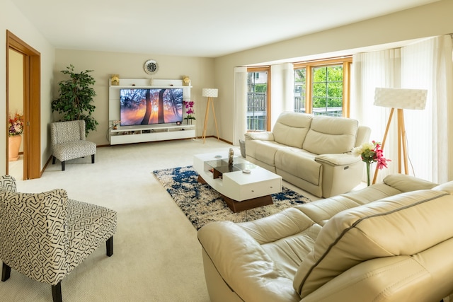 4895 Westhaven Ct, Hoffman Estates, IL 60010 - photo 5