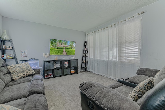 552 Walnut Ave, Elgin, IL 60123 - living room with healthy amount of natural light and carpet flooring