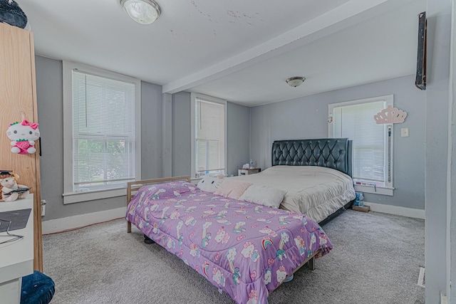 552 Walnut Ave, Elgin, IL 60123 - bedroom featuring carpet and baseboards