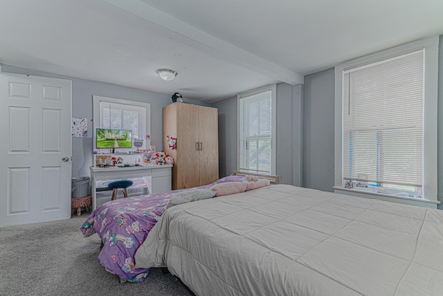 552 Walnut Ave, Elgin, IL 60123 - bedroom featuring carpet