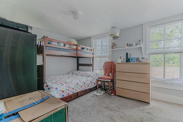 552 Walnut Ave, Elgin, IL 60123 - carpeted bedroom with multiple windows and a textured ceiling
