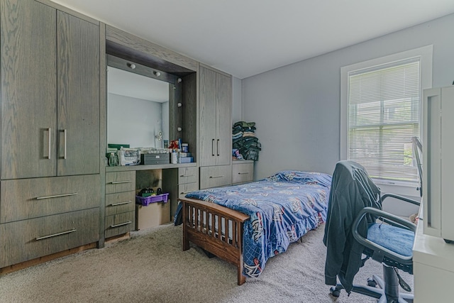 552 Walnut Ave, Elgin, IL 60123 - view of carpeted bedroom