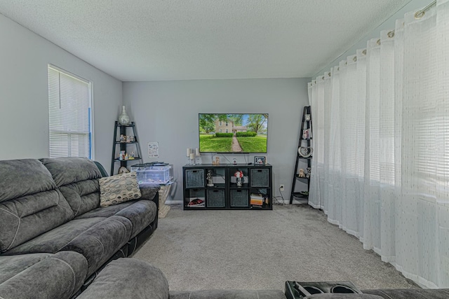 552 Walnut Ave, Elgin, IL 60123 - living area featuring carpet flooring, a textured ceiling, and baseboards