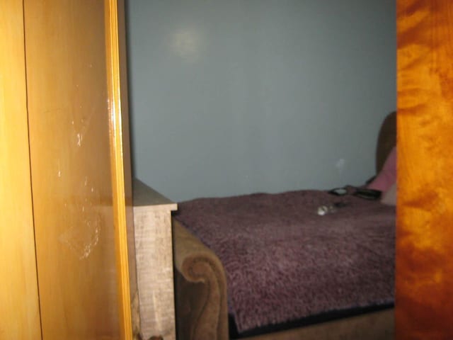 2339 N Kilbourn Ave, Chicago, IL 60639 - view of carpeted bedroom