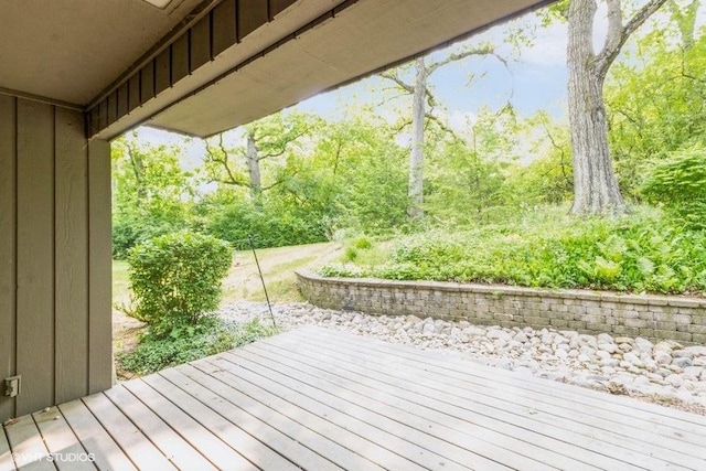 729 Old Barn Rd Unit C, Lake Barrington, IL 60010 - view of wooden deck