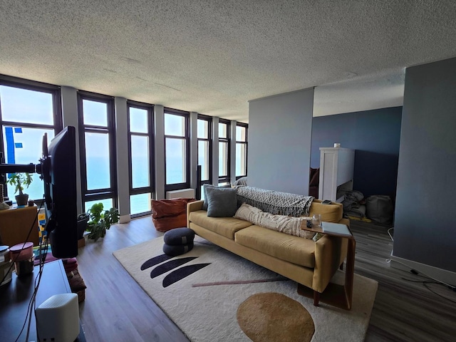 6700 S S Shore Dr Unit 18K, Chicago, IL 60649 - living room featuring wood finished floors and a textured ceiling