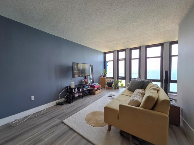 6700 S S Shore Dr Unit 18K, Chicago, IL 60649 - living area featuring a textured ceiling, wood finished floors, plenty of natural light, and baseboards
