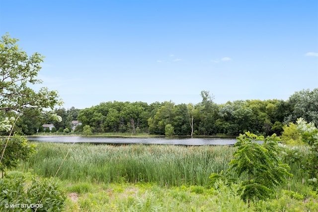 3332 Sheridan Ln, Mundelein, IL 60060 - water view with a heavily wooded area