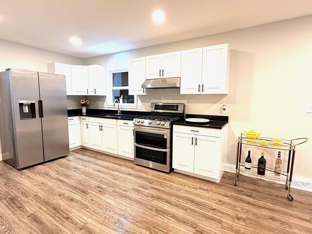 1327 N Pleasant Dr, Round Lake Beach, IL 60073 - kitchen featuring appliances with stainless steel finishes, under cabinet range hood, a sink, dark countertops, and light wood-style floors