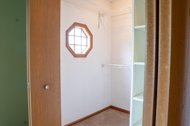 1413 N Metropolitan Ave, Waukegan, IL 60085 - walk in closet featuring carpet floors