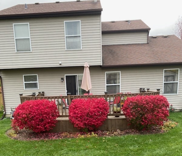 1413 N Metropolitan Ave, Waukegan, IL 60085 - back of house with a deck, a yard, and roof with shingles