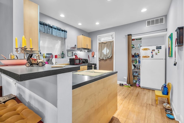 6210 N Francisco Ave, Chicago, IL 60659 - kitchen with freestanding refrigerator, dark countertops, a peninsula, light wood-style flooring, and recessed lighting