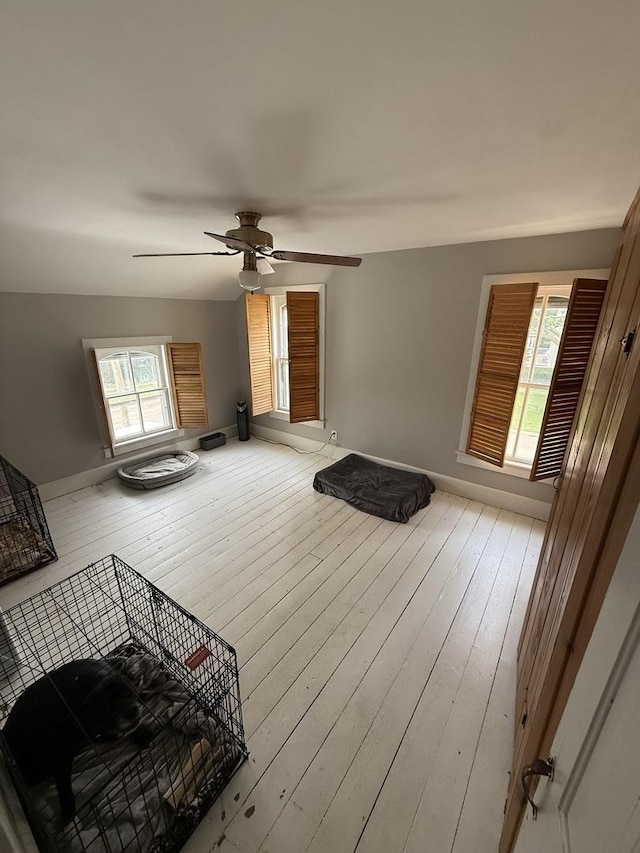 26 Elm Pl, Princeton, IL 61356 - living room with hardwood / wood-style floors, a ceiling fan, and baseboards