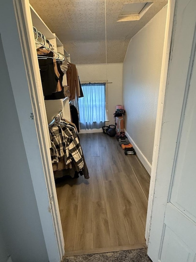26 Elm Pl, Princeton, IL 61356 - spacious closet featuring wood finished floors