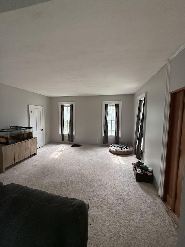 26 Elm Pl, Princeton, IL 61356 - view of carpeted living room