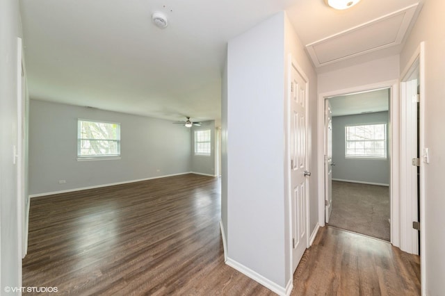 527 E Shagbark Ln Unit H, Streamwood, IL 60107 - hallway featuring healthy amount of natural light and wood finished floors